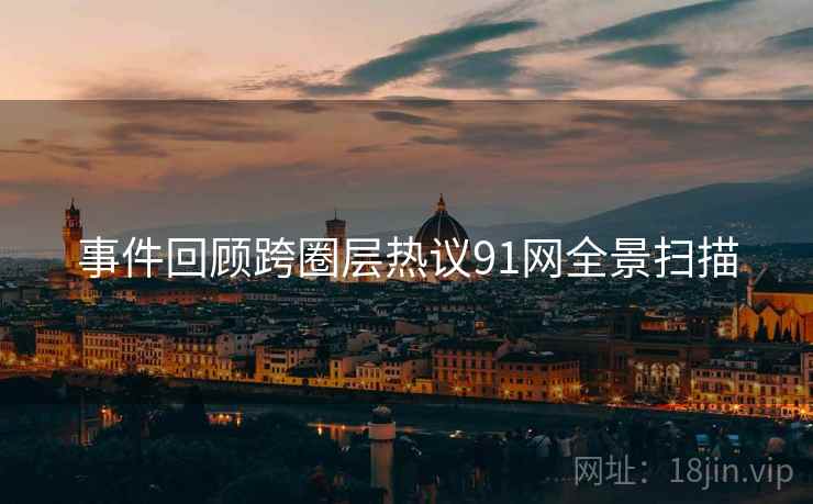 事件回顾跨圈层热议91网全景扫描  第1张