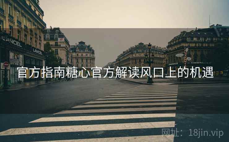 官方指南糖心官方解读风口上的机遇  第1张