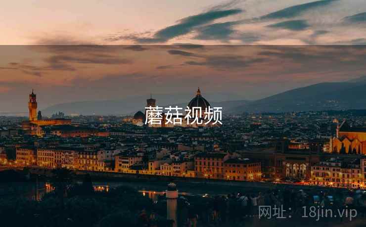 蘑菇视频 第2张