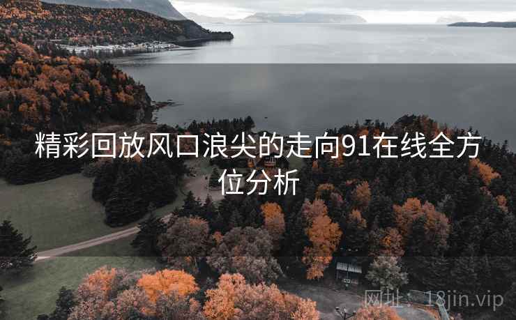 精彩回放风口浪尖的走向91在线全方位分析  第1张
