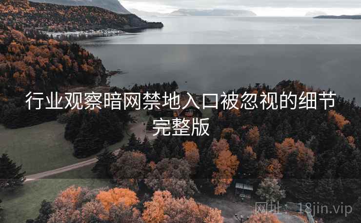 行业观察暗网禁地入口被忽视的细节完整版