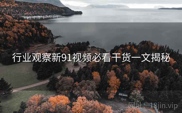 行业观察新91视频必看干货一文揭秘