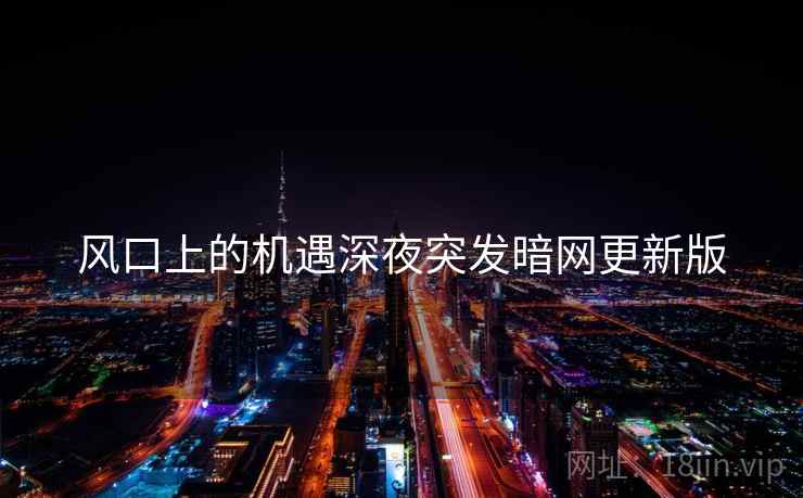 风口上的机遇深夜突发暗网更新版
