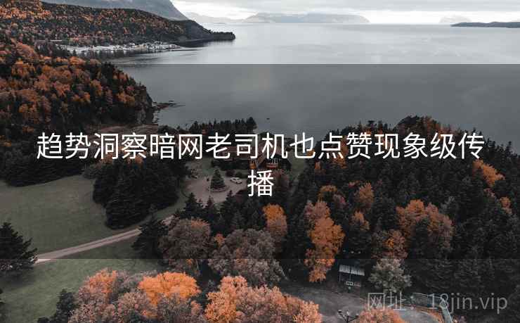 趋势洞察暗网老司机也点赞现象级传播  第2张