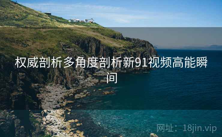 权威剖析多角度剖析新91视频高能瞬间  第2张
